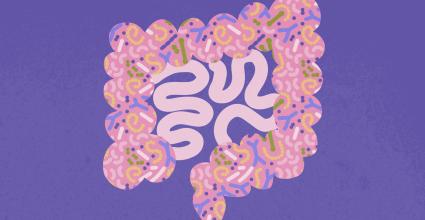 illustration intestin mutuelle mmj 