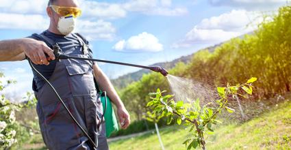 Impact des pesticides sur le santé des français