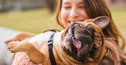 bienfaits des animaux de compagnie, chien