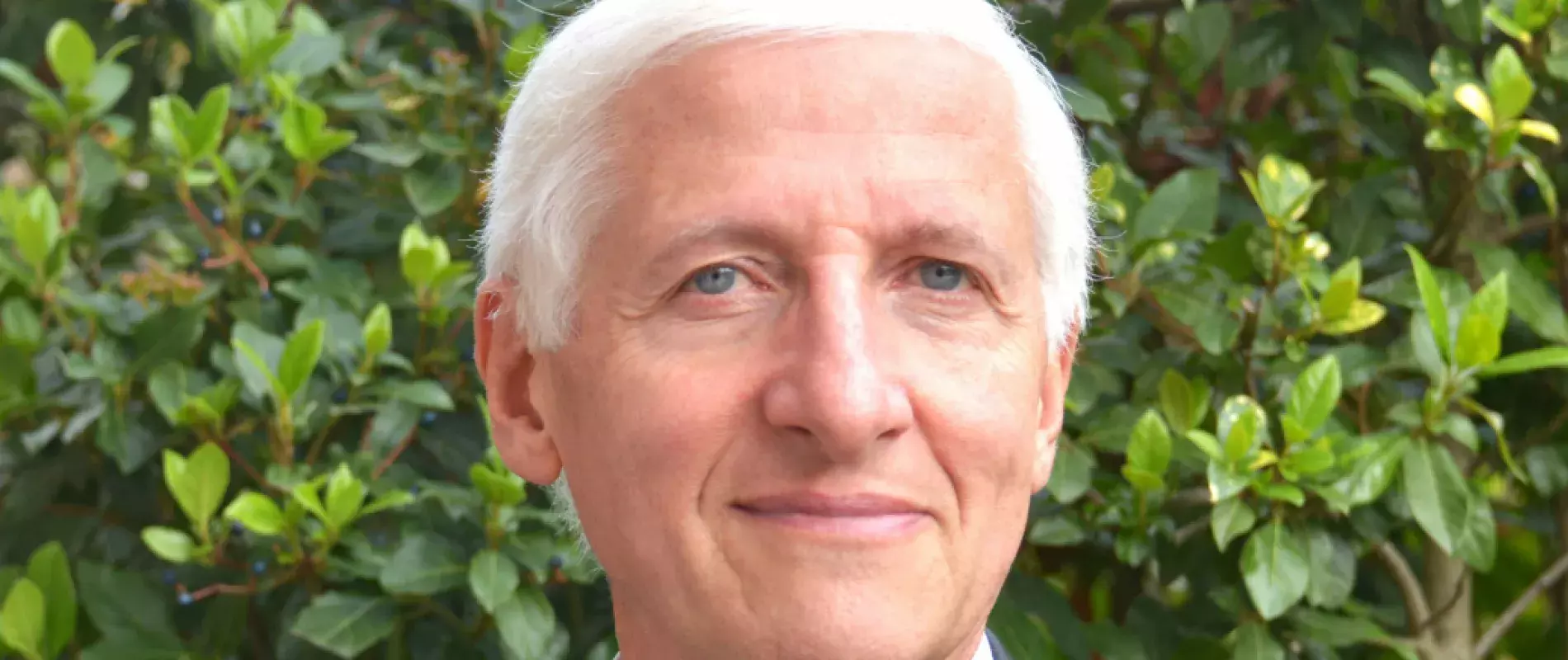 Yves lévi professeur