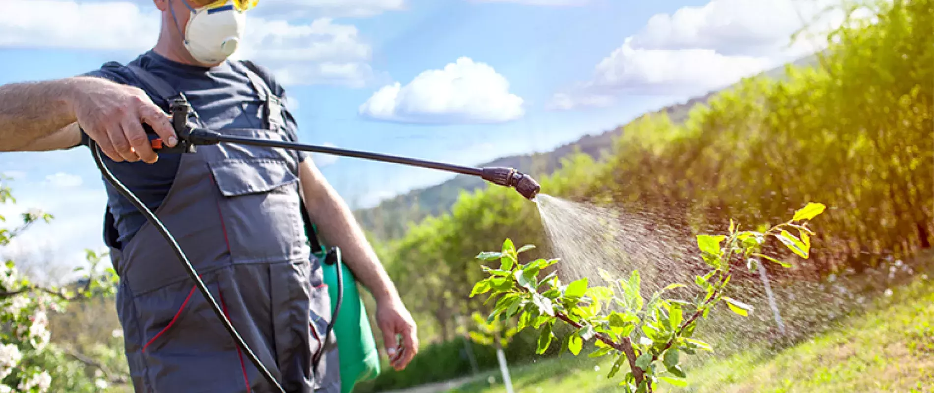 Impact des pesticides sur le santé des français