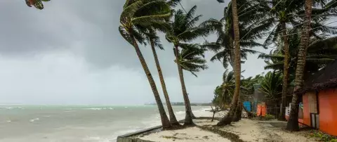 cyclone sur plage avec palmier