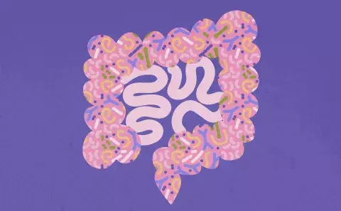 illustration intestin mutuelle mmj