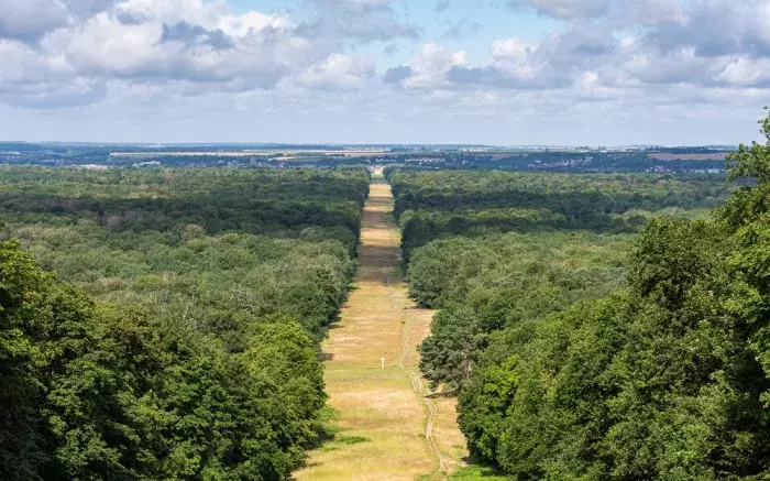 forêt de compiègne 