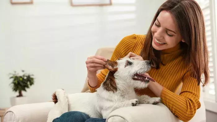 femme qui caresse un chien dans son salon